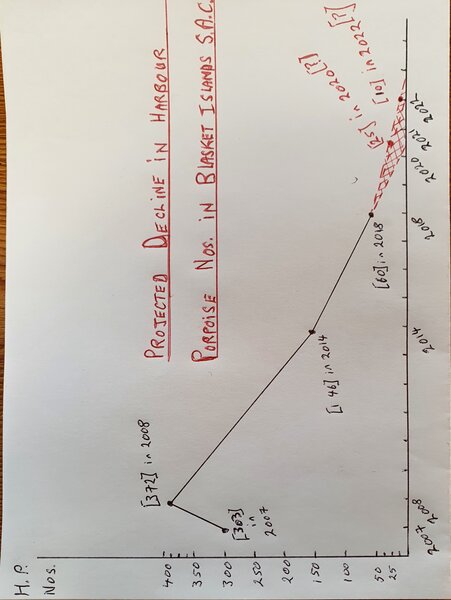 Graph of Harbour Porpoise population decline in Blasket islands SAC